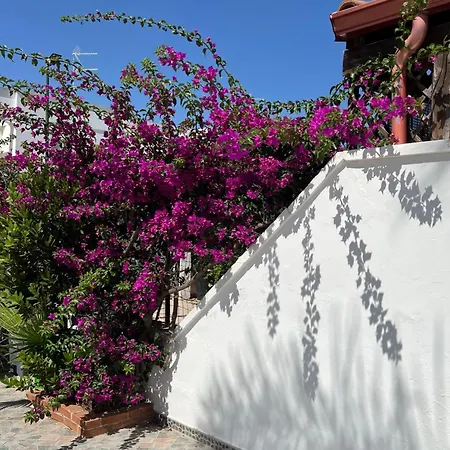 Mediterraneo *